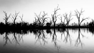 B W Lake Sunset 2